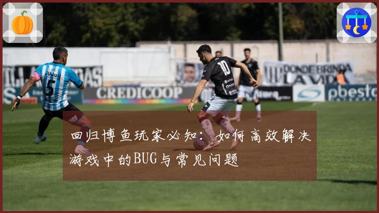 回归博鱼玩家必知：如何高效解决游戏中的BUG与常见问题