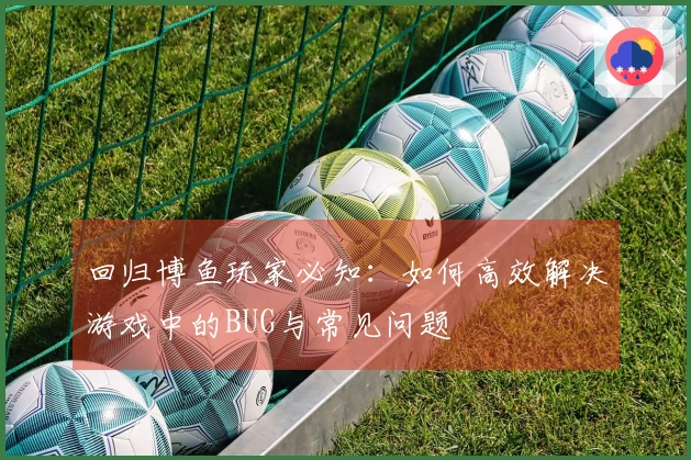 回归博鱼玩家必知：如何高效解决游戏中的BUG与常见问题